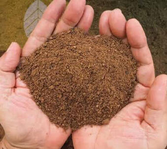 PALM KERNEL MEAL