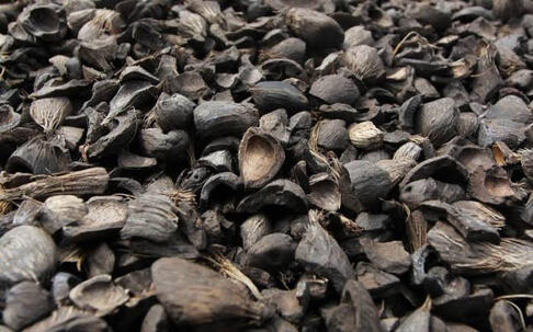 PALM KERNEL SHELL